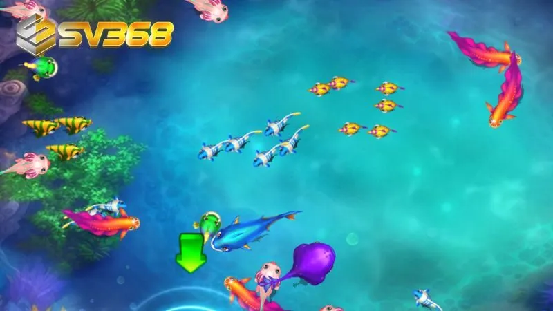 Hiểu rõ về cách tham gia săn cá Long Vương để làm chủ cuộc chơi dễ dàng